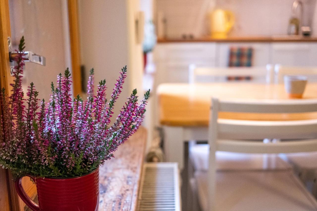 Dream Stay - Bright 2-Bedroom 2-Floor Old Town Apartment Tallinn Eksteriør billede